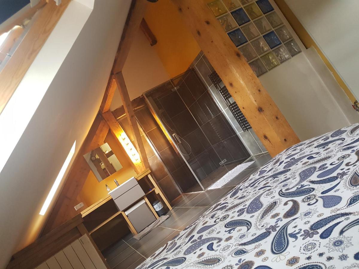 Loft Dans Les Pyrenees Διαμέρισμα Oloron-Sainte-Marie Εξωτερικό φωτογραφία