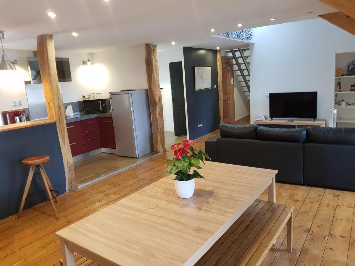 Loft Dans Les Pyrenees Διαμέρισμα Oloron-Sainte-Marie Εξωτερικό φωτογραφία