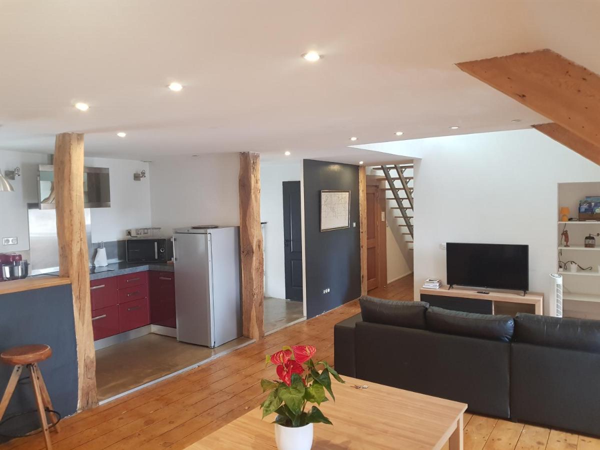 Loft Dans Les Pyrenees Διαμέρισμα Oloron-Sainte-Marie Εξωτερικό φωτογραφία