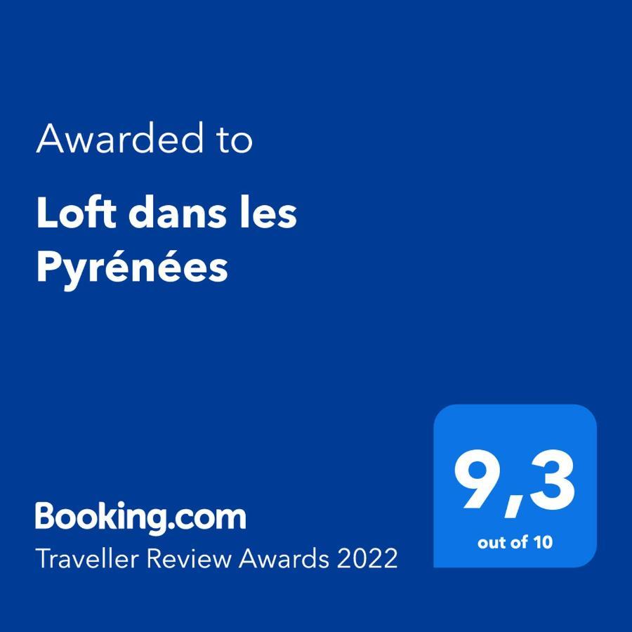 Loft Dans Les Pyrenees Διαμέρισμα Oloron-Sainte-Marie Εξωτερικό φωτογραφία